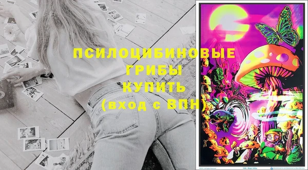 скорость Липки