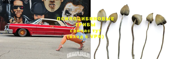 спайс Лихославль