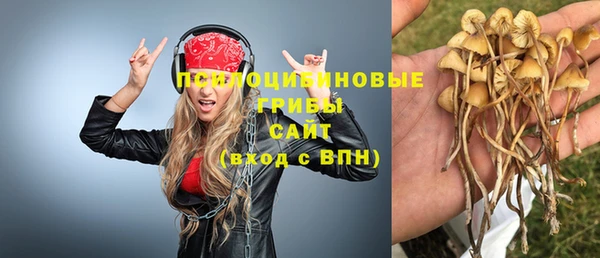 скорость Липки