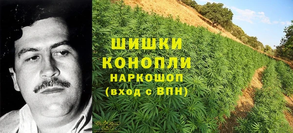 скорость Липки