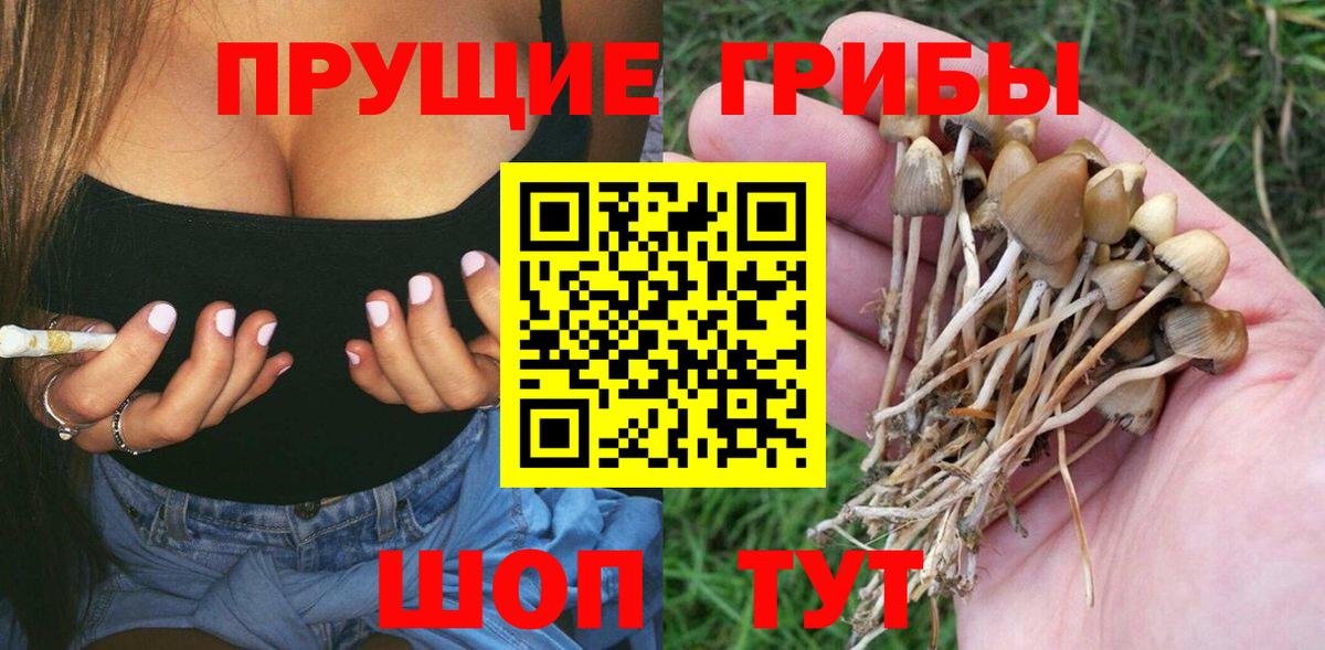 Галлюциногенные грибы Magic Shrooms  Псилоцибиновые грибы Psilocybine cubensis  Новосибирск 