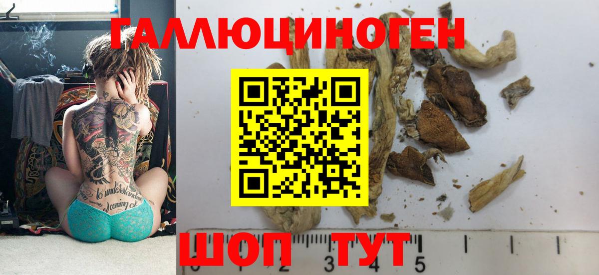 Галлюциногенные грибы Psilocybine cubensis  Вход с VPN  Галлюциногенные грибы прущие грибы  цены наркотик  Новосибирск 