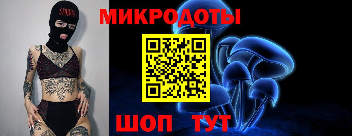 Галлюциногенные грибы мухоморы Новосибирск
